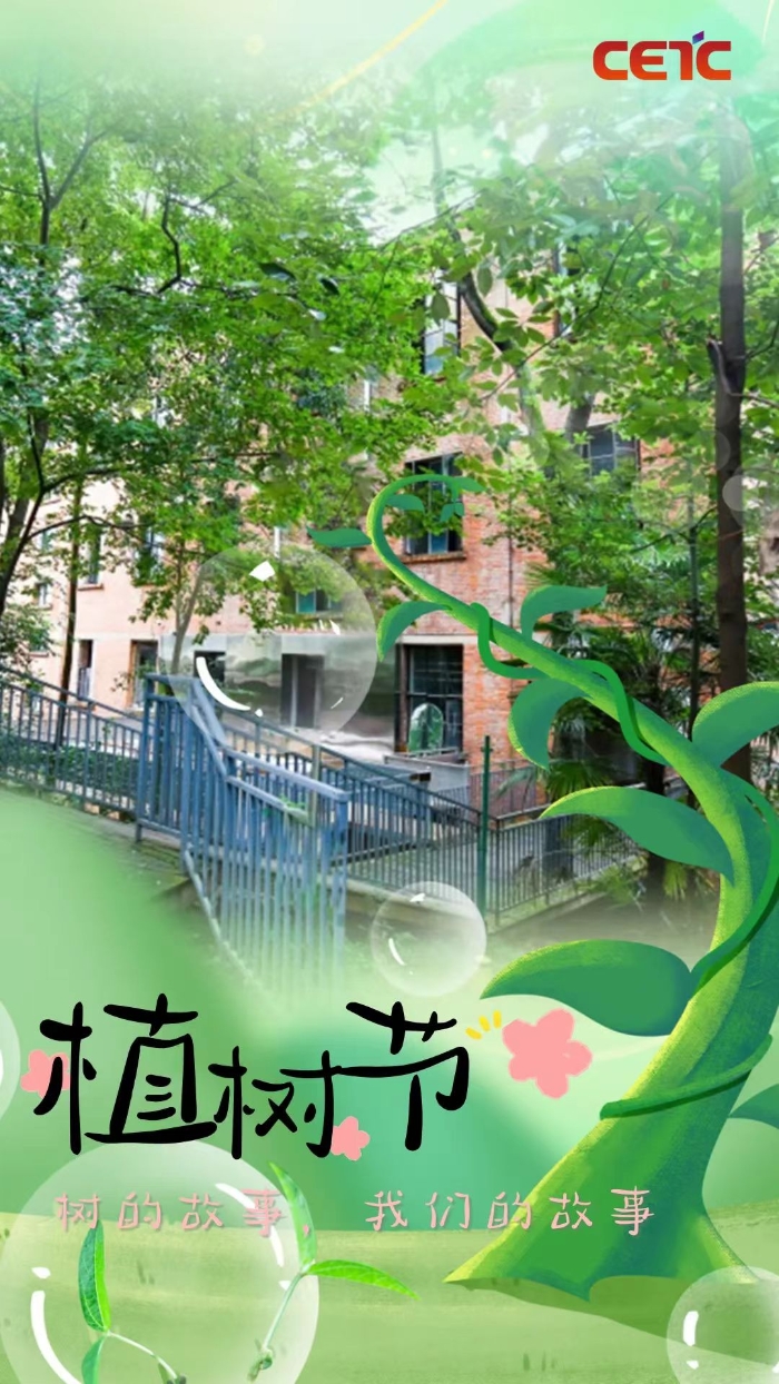 植树2