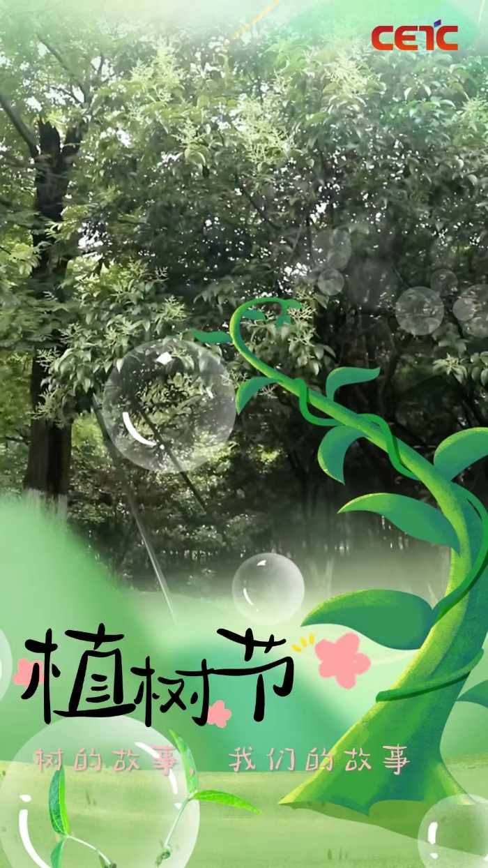 植树4