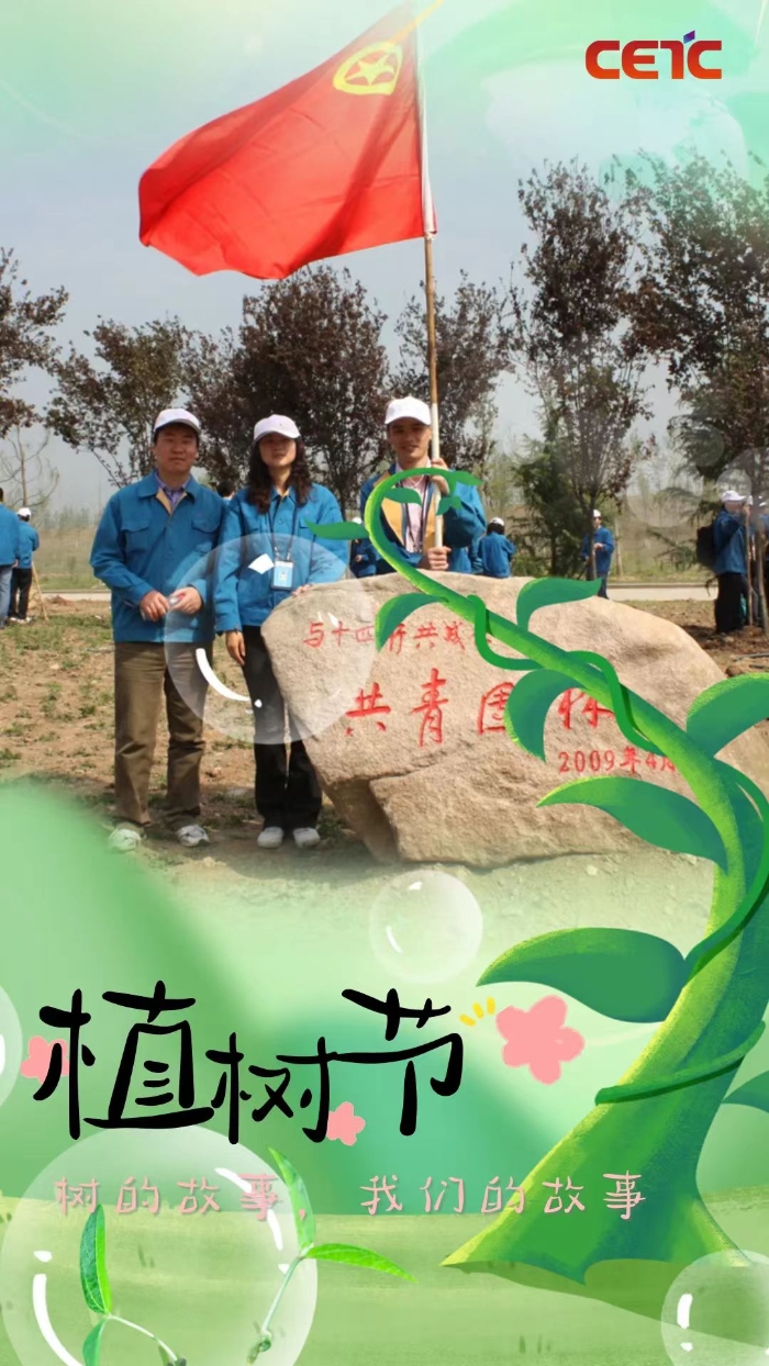 植树6