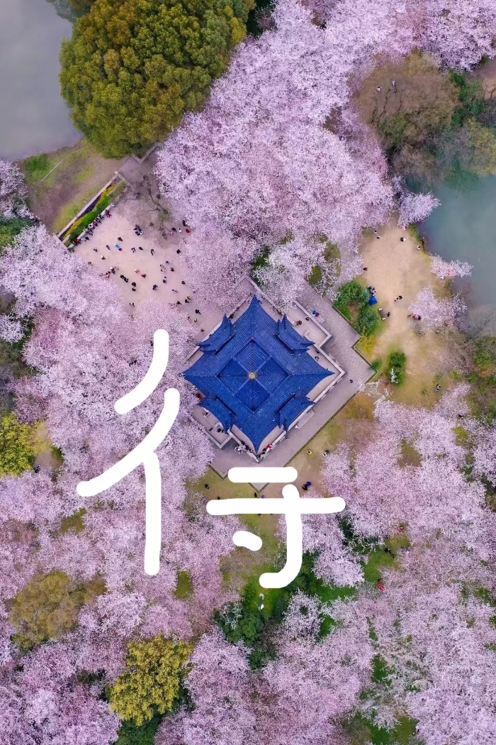 春光10